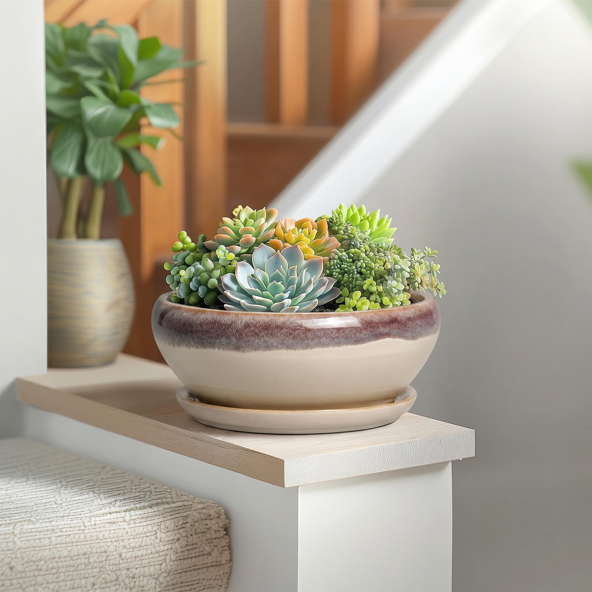 SQOWL 8 Inch succulent pot with mesh pad included