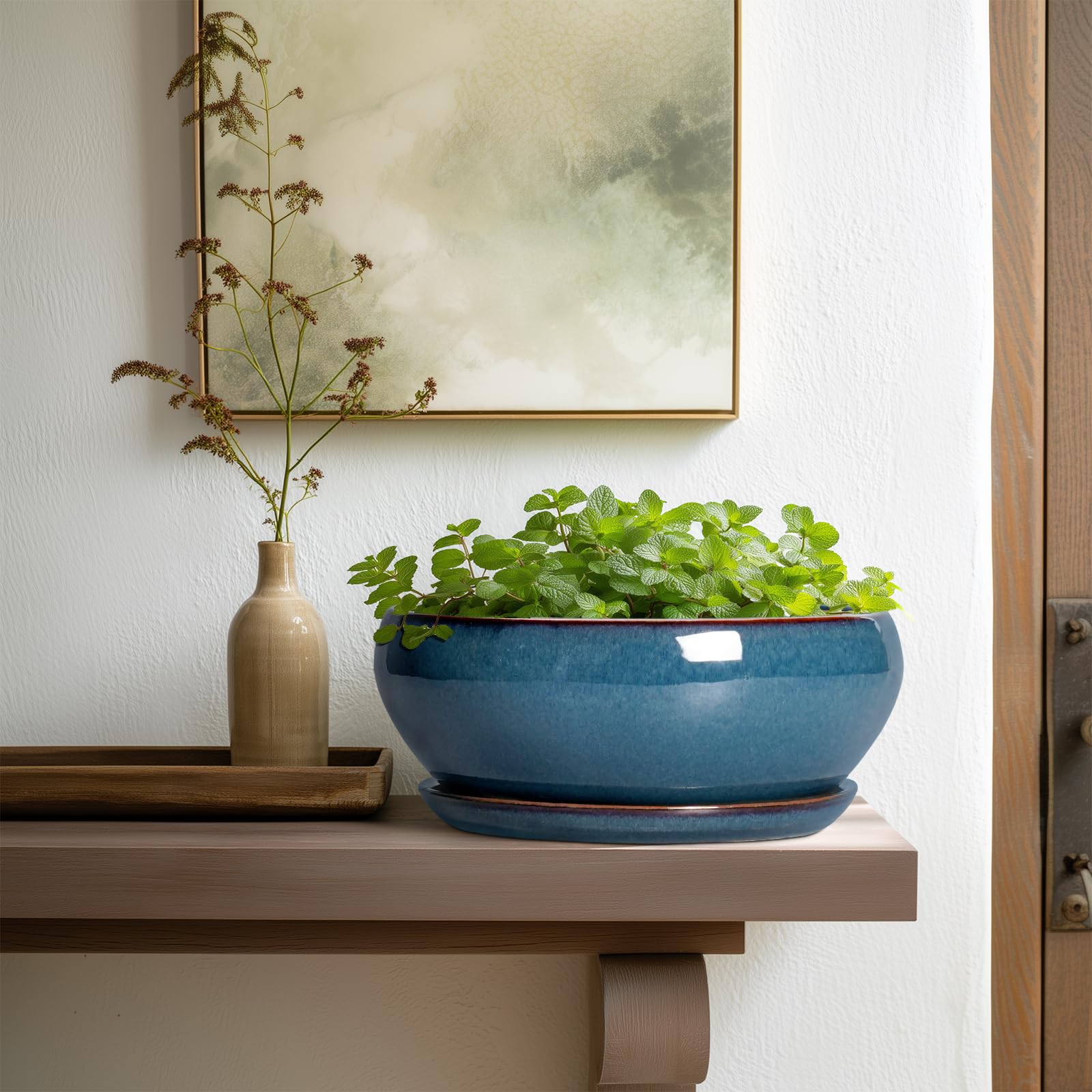 SQOWL Bonsai Pot and saucer on wooden table