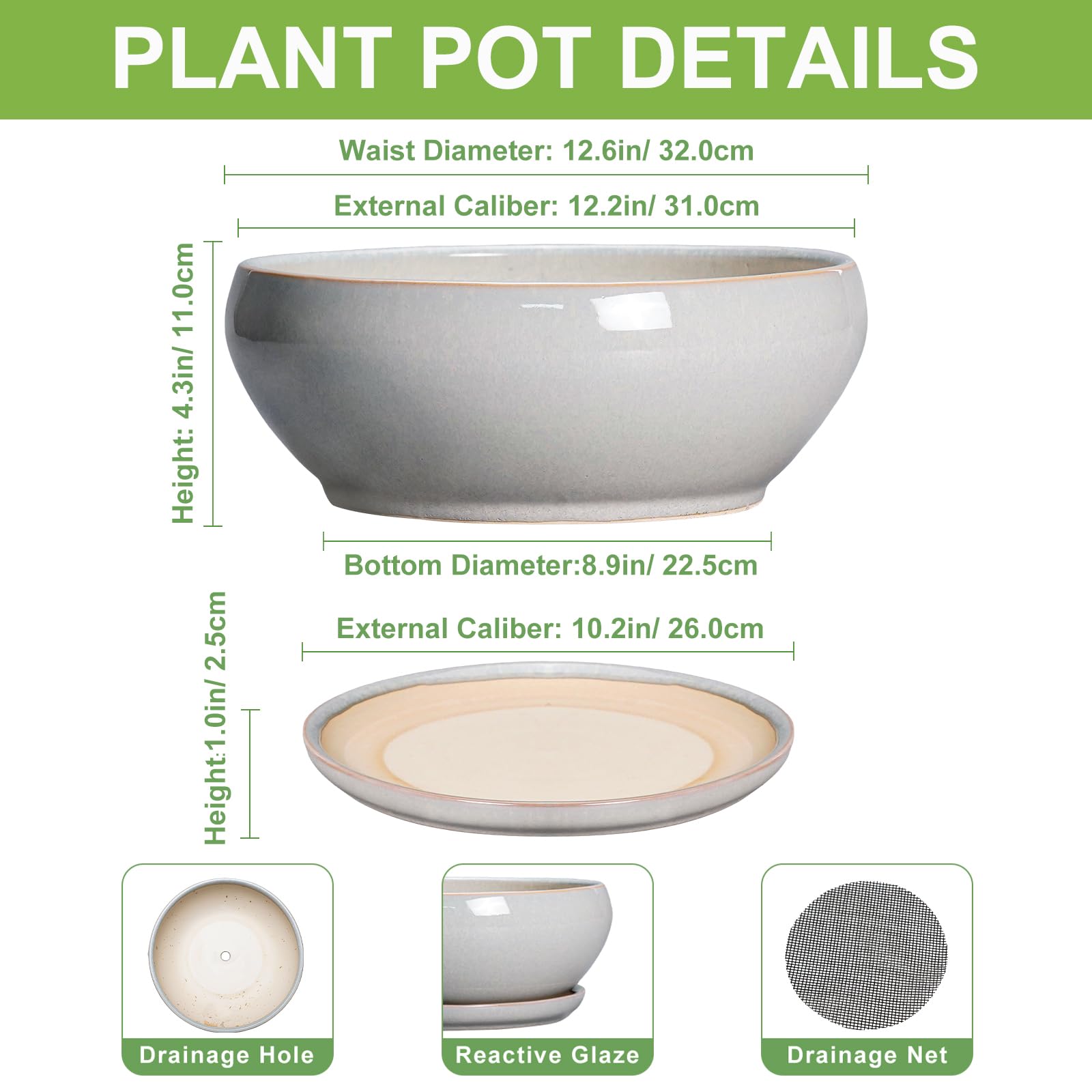 SQOWL Bonsai Pot with matching saucer