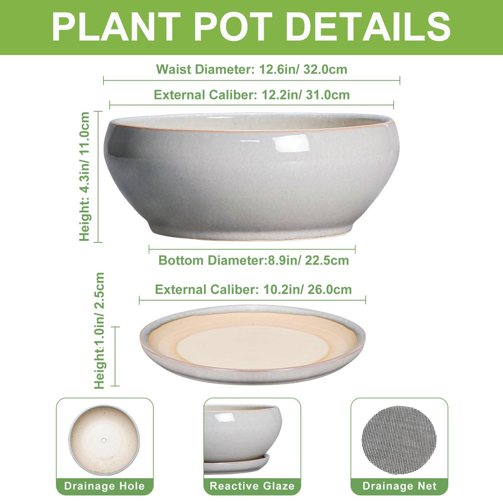 SQOWL Bonsai Pot with matching saucer
