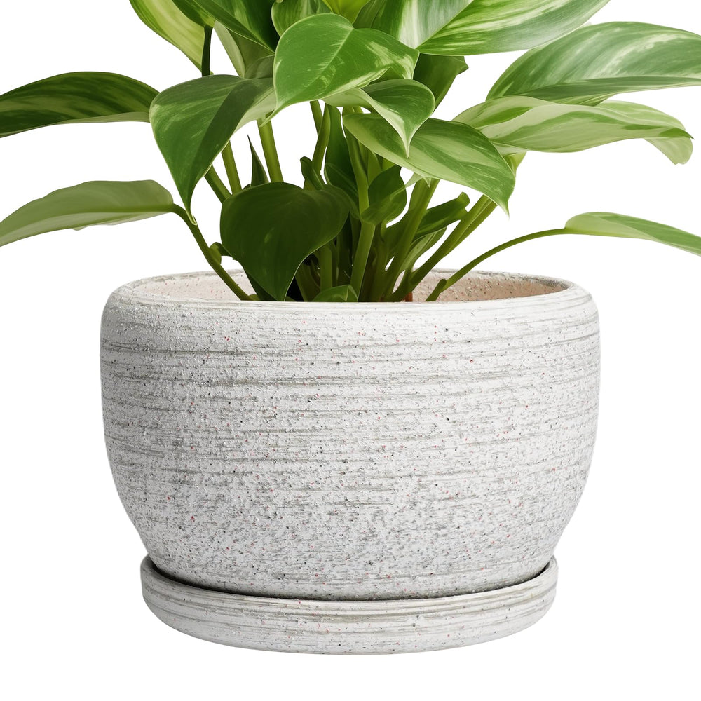 SQOWL Ceramic Plant Pot 8 inch with gray finish front view