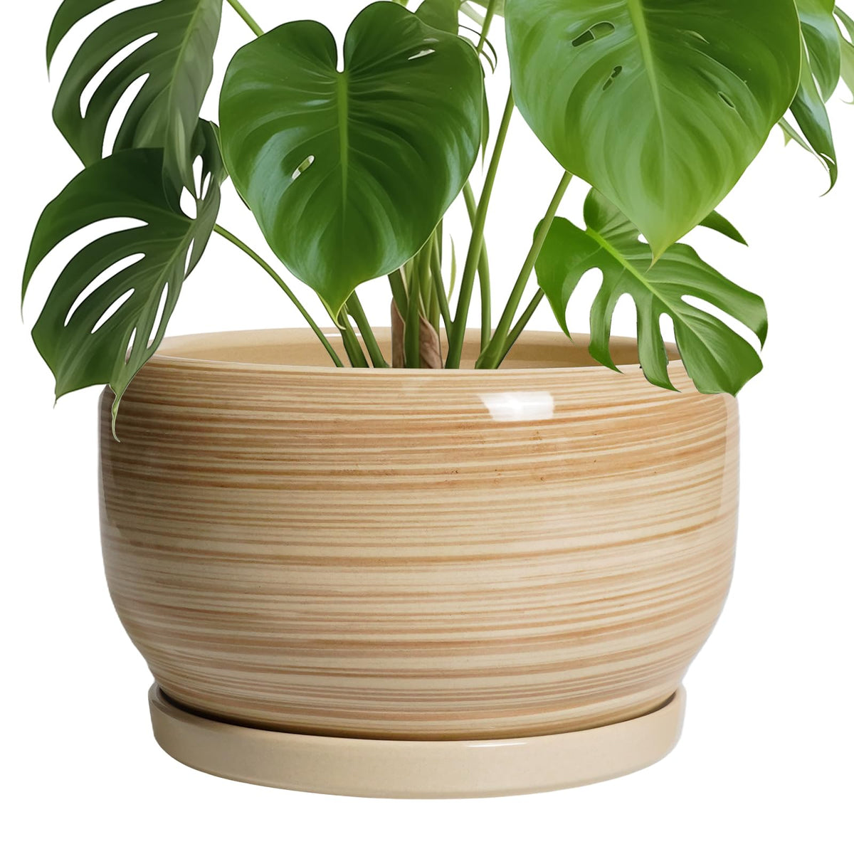 SQOWL Ceramic Plant Pot glossy yellow front view