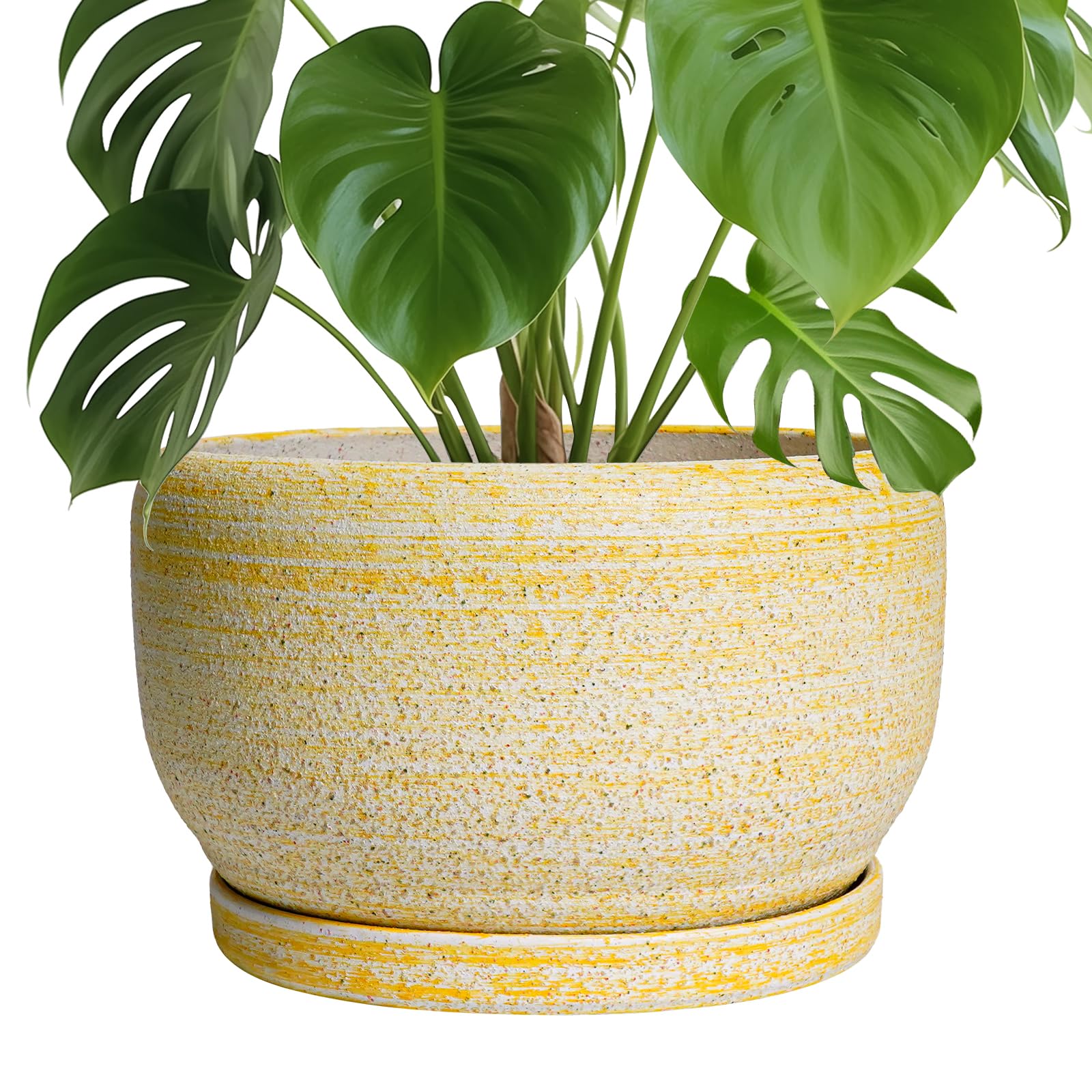 SQOWL Ceramic Planter 10 Inch with drainage hole and saucer, yellow