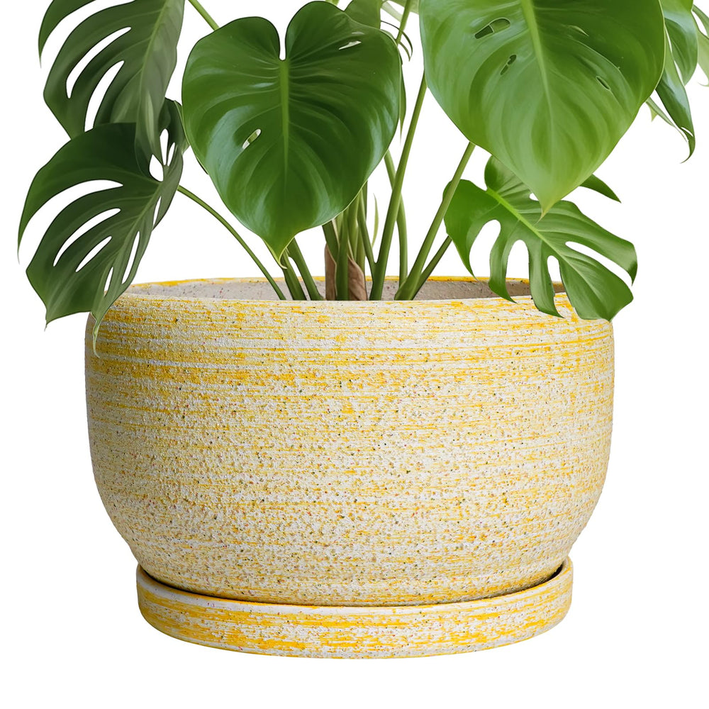 SQOWL Ceramic Planter 10 Inch with drainage hole and saucer, yellow