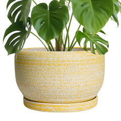 SQOWL Ceramic Planter 10 Inch with drainage hole and saucer, yellow