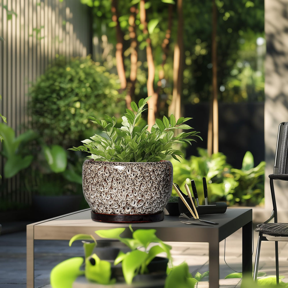 SQOWL ceramic planter in a garden setting