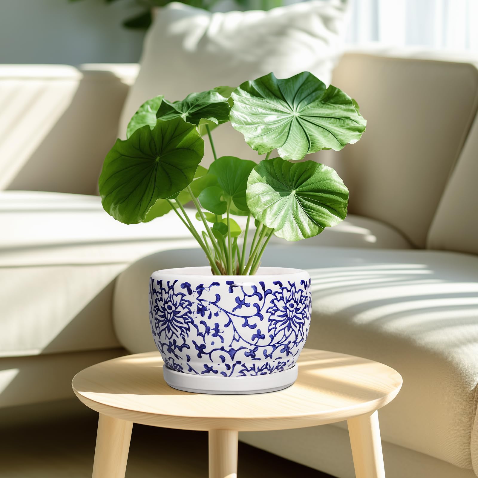SQOWL ceramic planter with drainage hole and saucer