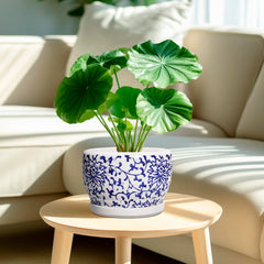 SQOWL ceramic planter with drainage hole and saucer