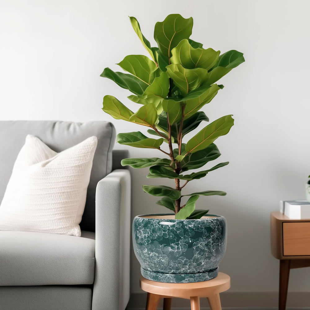 SQOWL ceramic planter with drainage hole and saucer
