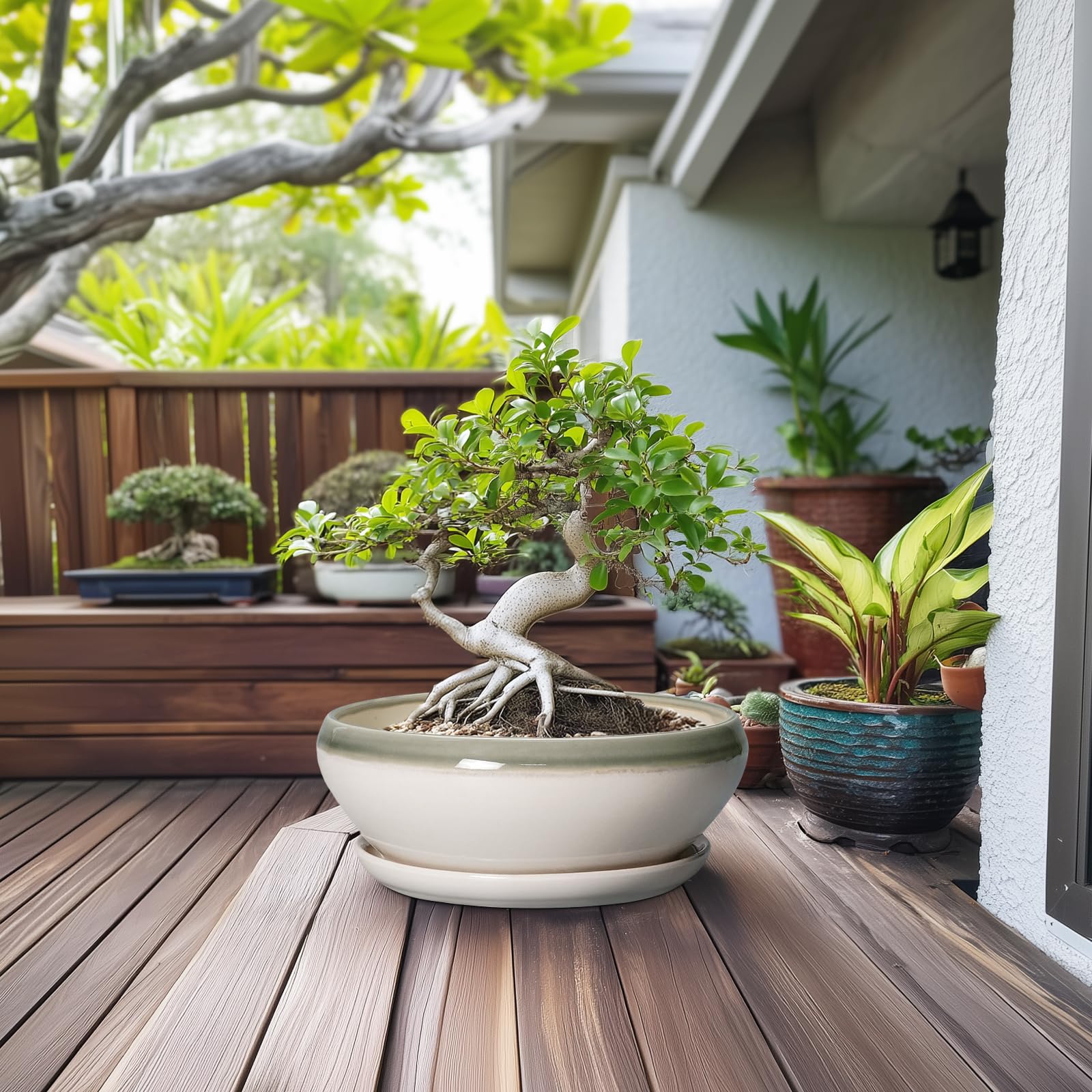 SQOWL ceramic planter with drainage hole and saucer