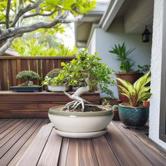SQOWL ceramic planter with drainage hole and saucer