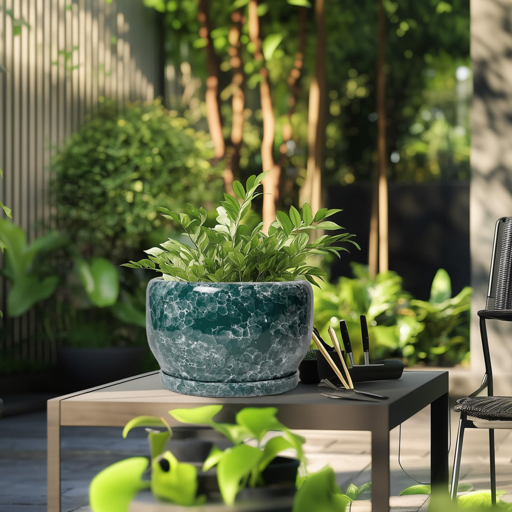 SQOWL ceramic planter with mesh pad and saucer