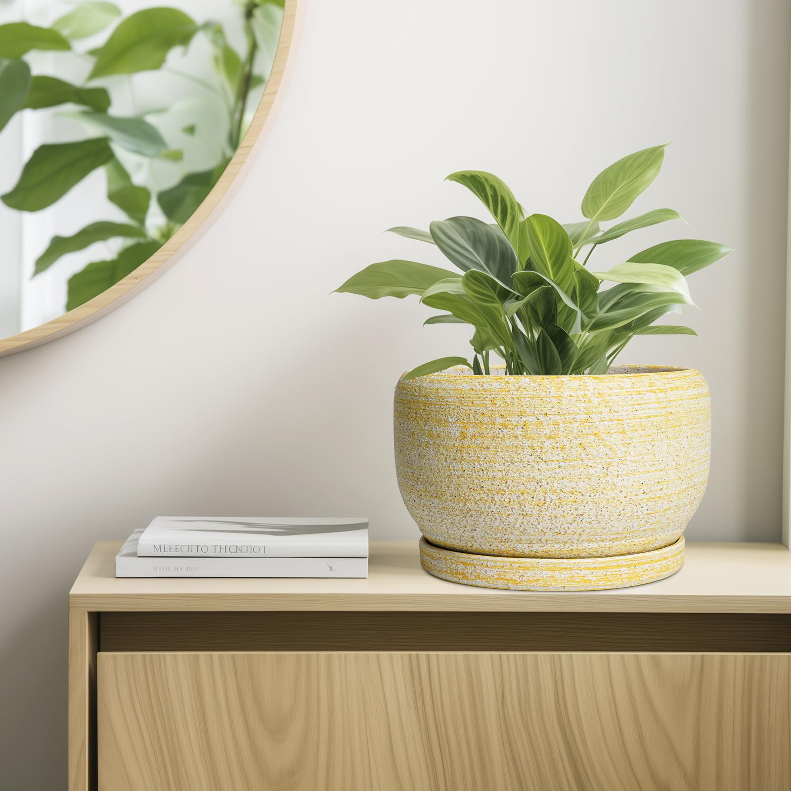 SQOWL Ceramic Planter with mesh pad and saucer included