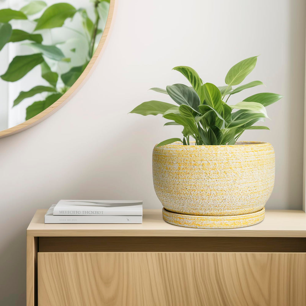 SQOWL Ceramic Planter with mesh pad and saucer included