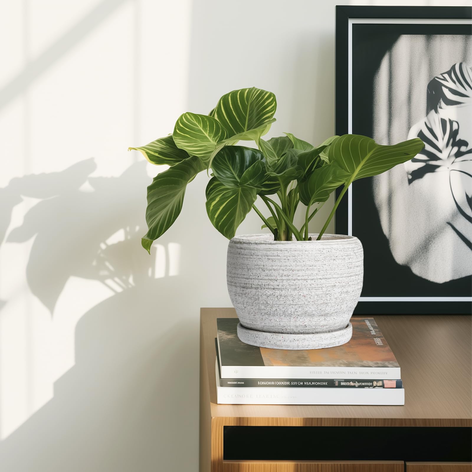 SQOWL Ceramic Planter with mesh pad and tray included