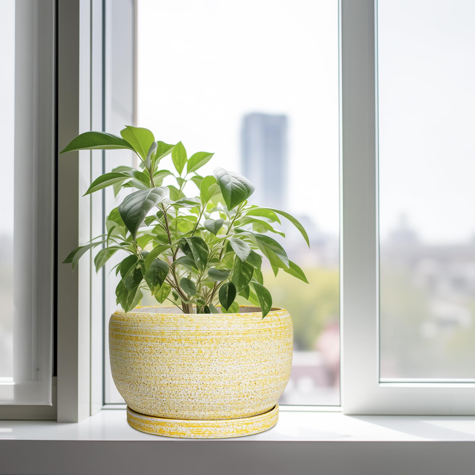 SQOWL Ceramic Planter with saucer on a desk with plants