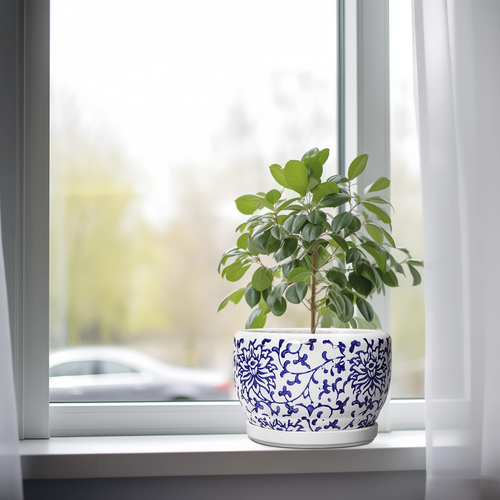 SQOWL ceramic pot with succulent inside