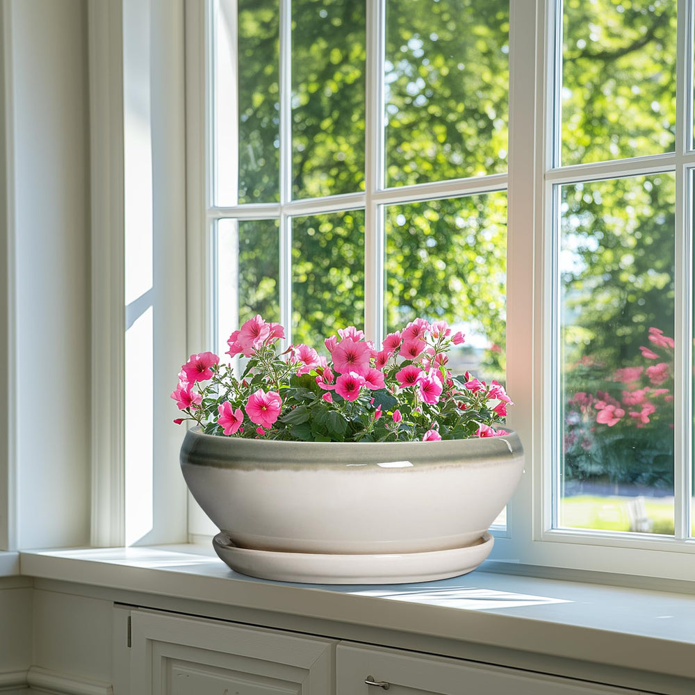 SQOWL decorative planter in a living room setting