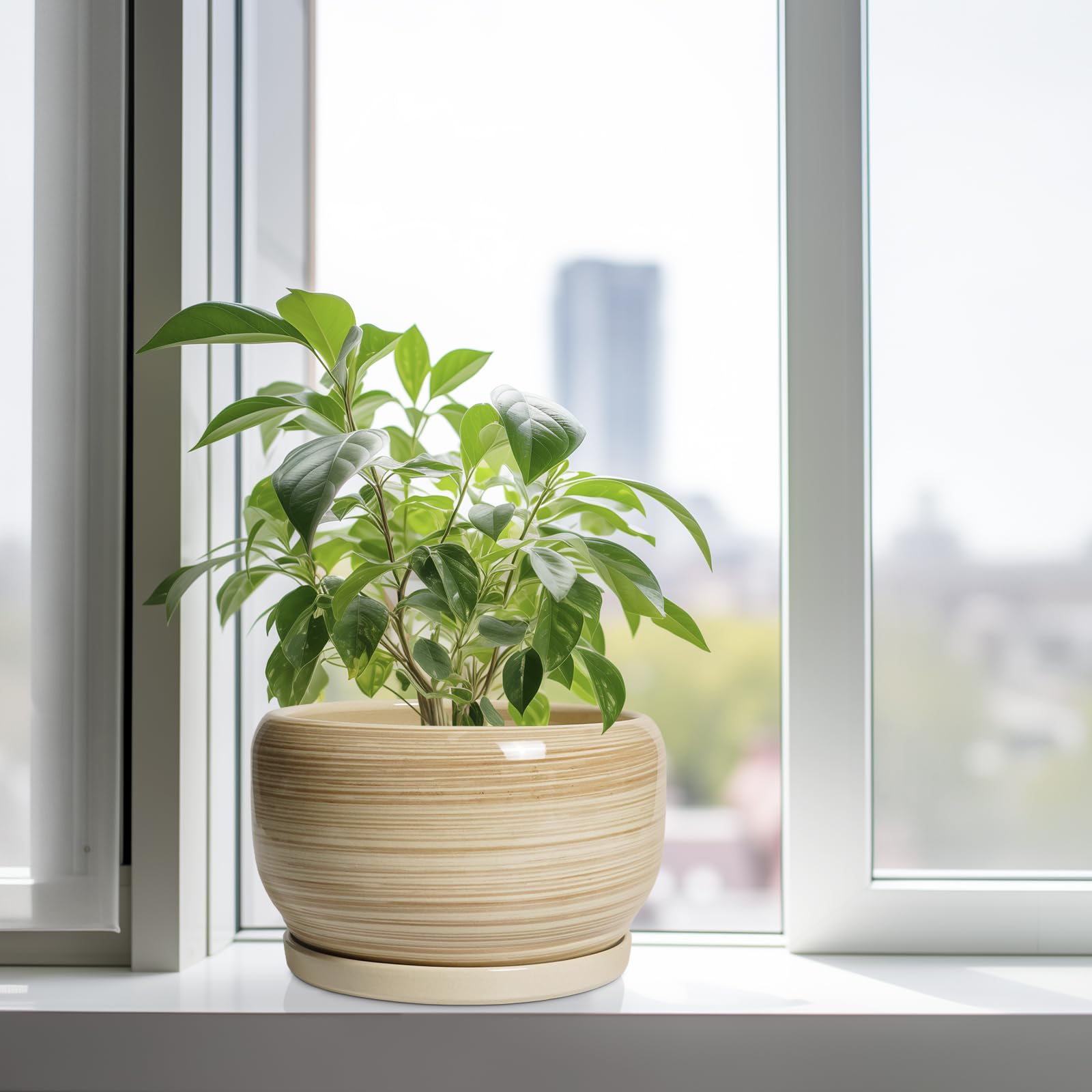 SQOWL planter showcasing glossy finish and design