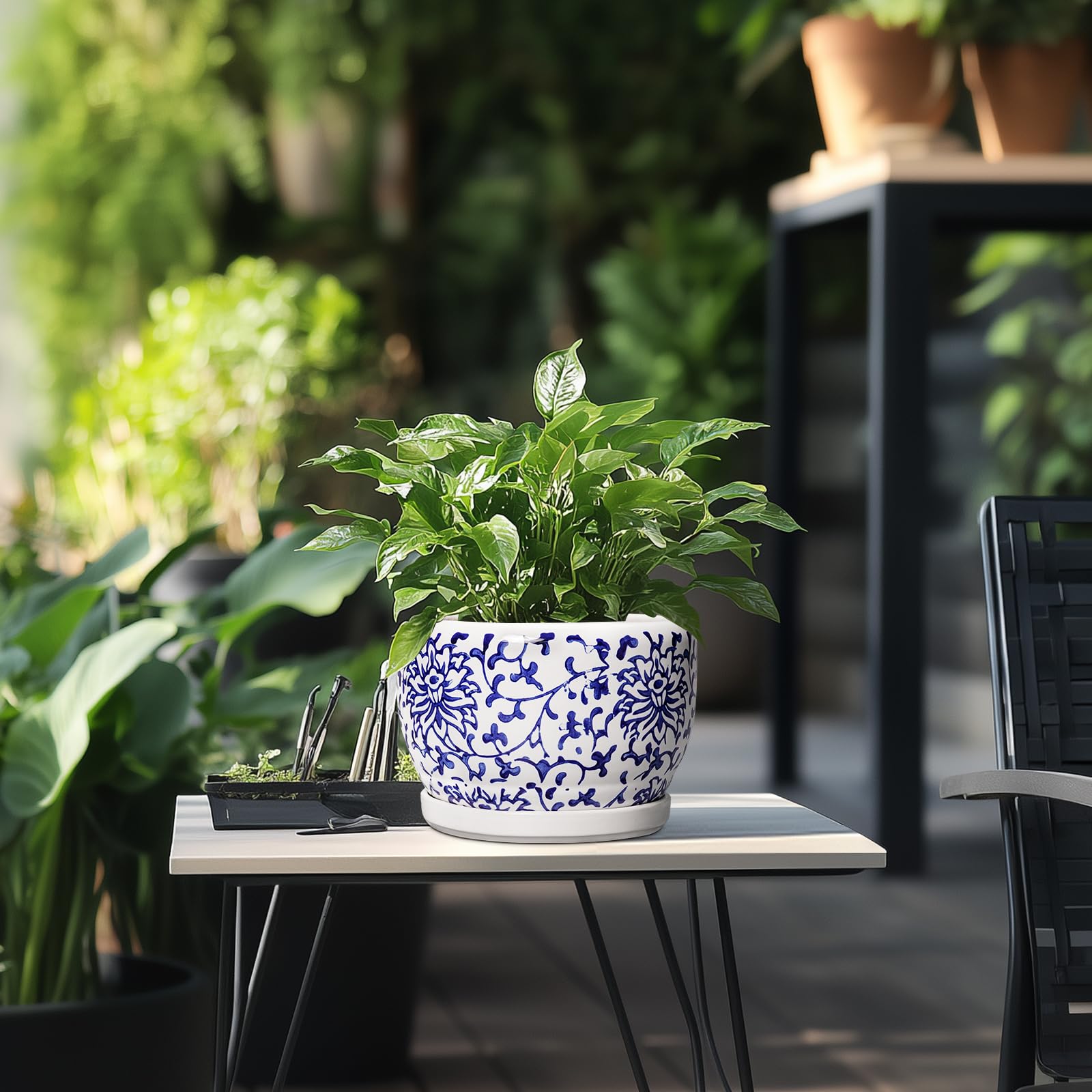 SQOWL planter showing the ceramic tray