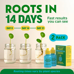Squeeze bottle of Escentile Plant Propagation Rooting Drops for accurate dispensing