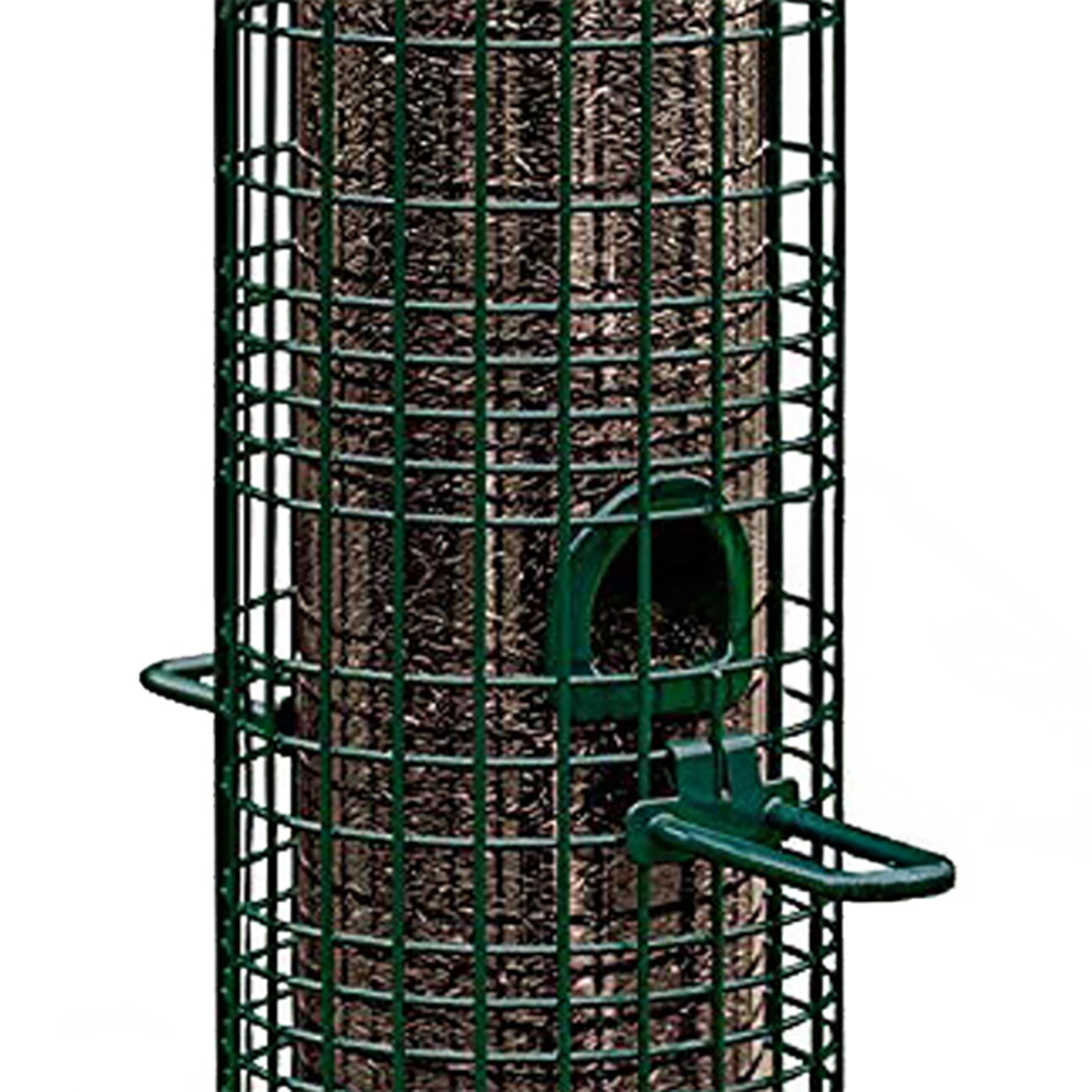 Squirrel Buster Classic Bird Feeder in a backyard setting