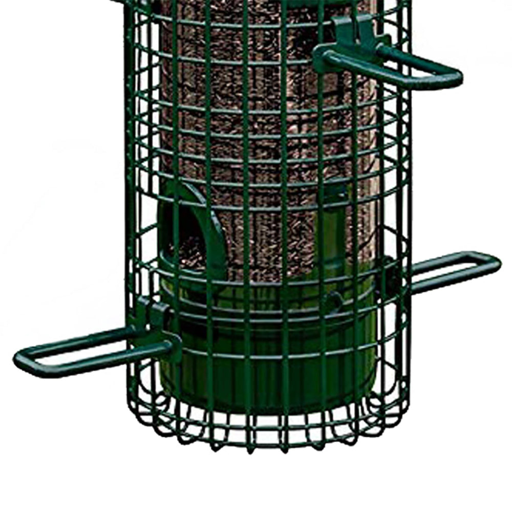 Squirrel Buster Classic Bird Feeder with multiple birds feeding