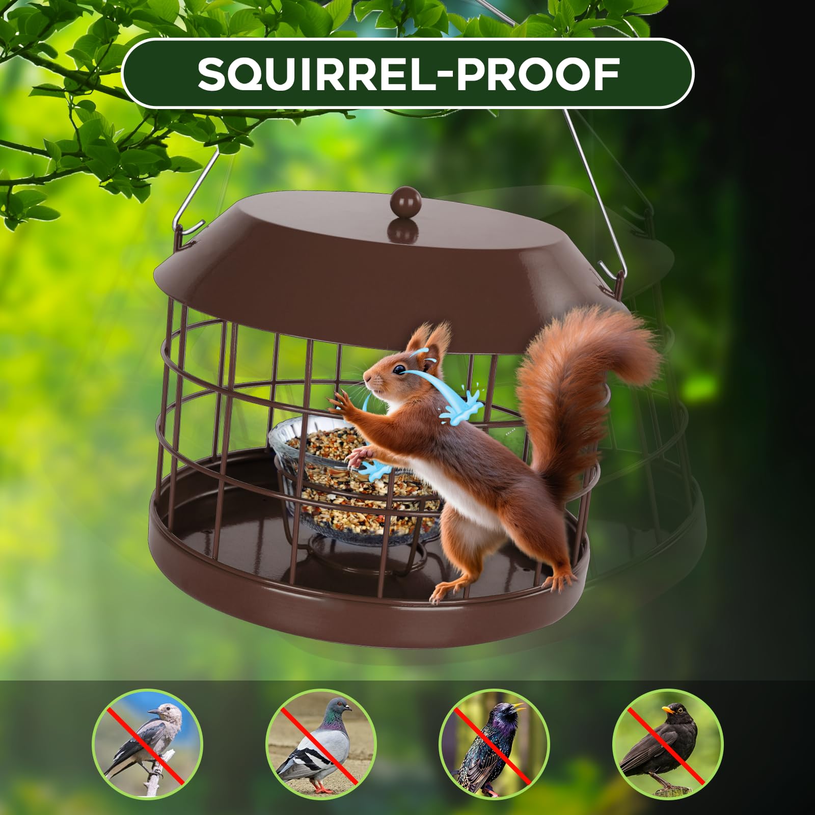 Squirrel proof design of Gbekery Bluebird Feeder