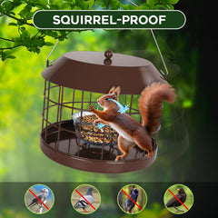 Squirrel proof design of Gbekery Bluebird Feeder