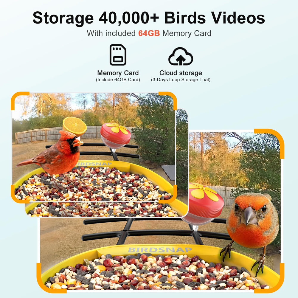 Squirrel-proof features of birdsnap PAV Bird Feeder