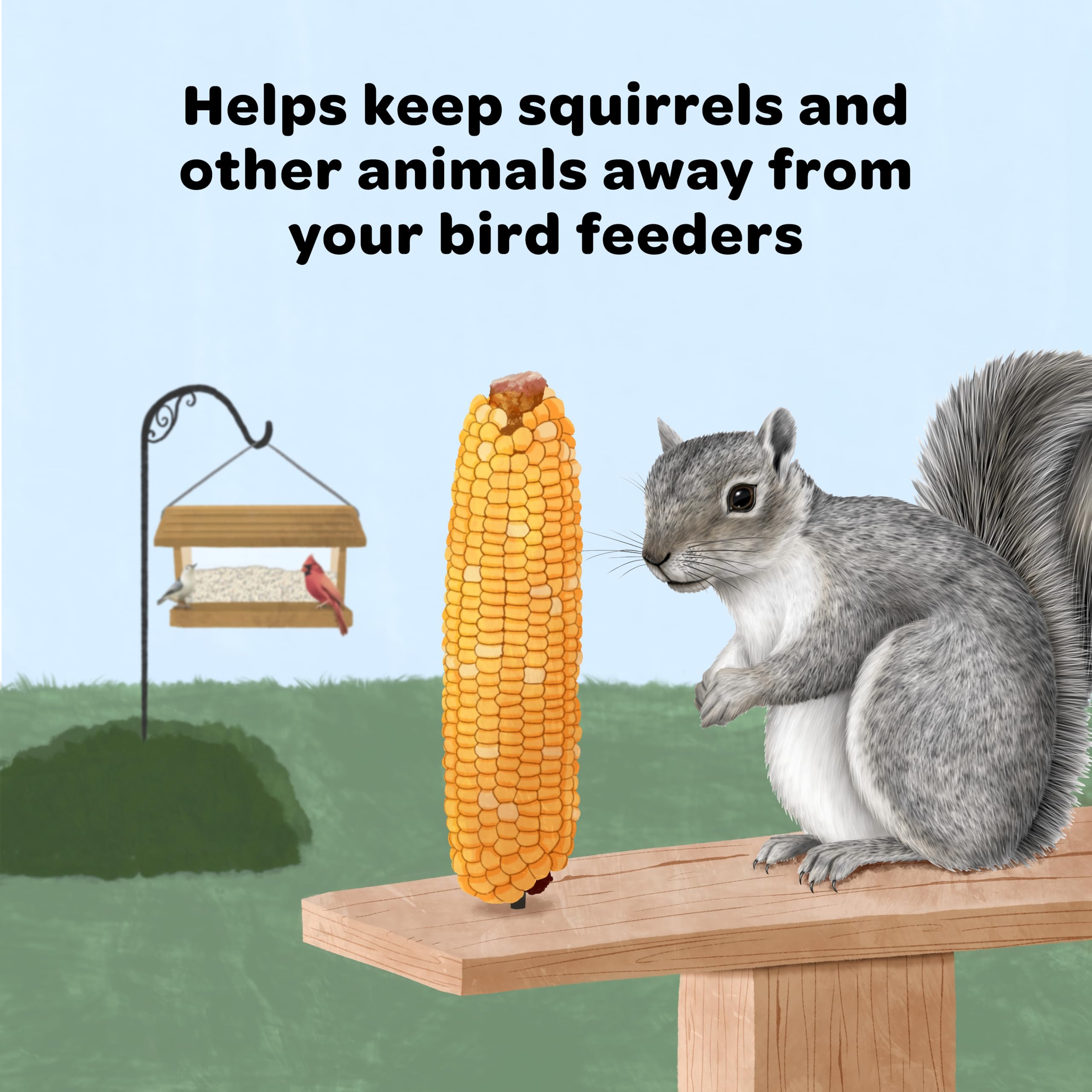 Squirrels enjoying Kaytee Corn on the Cob