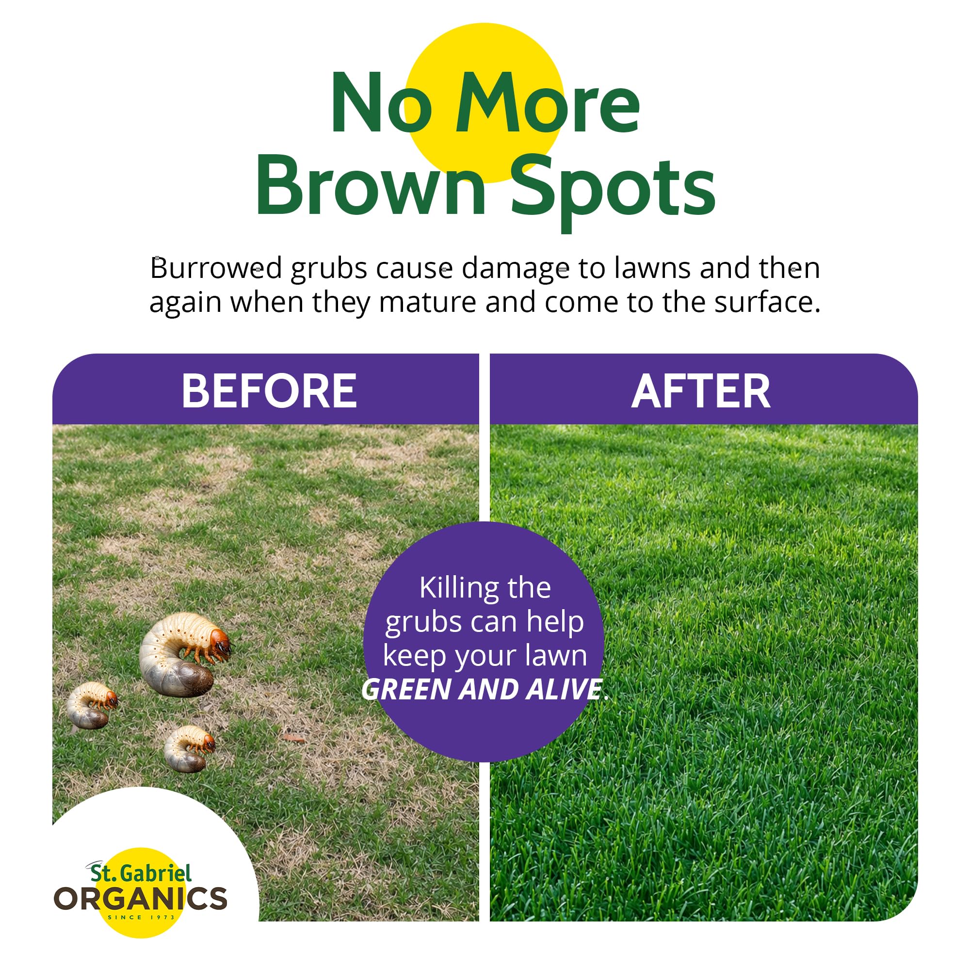 St. Gabriel Laboratories Milky Spore Powder on a lawn