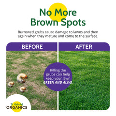 St. Gabriel Laboratories Milky Spore Powder on a lawn