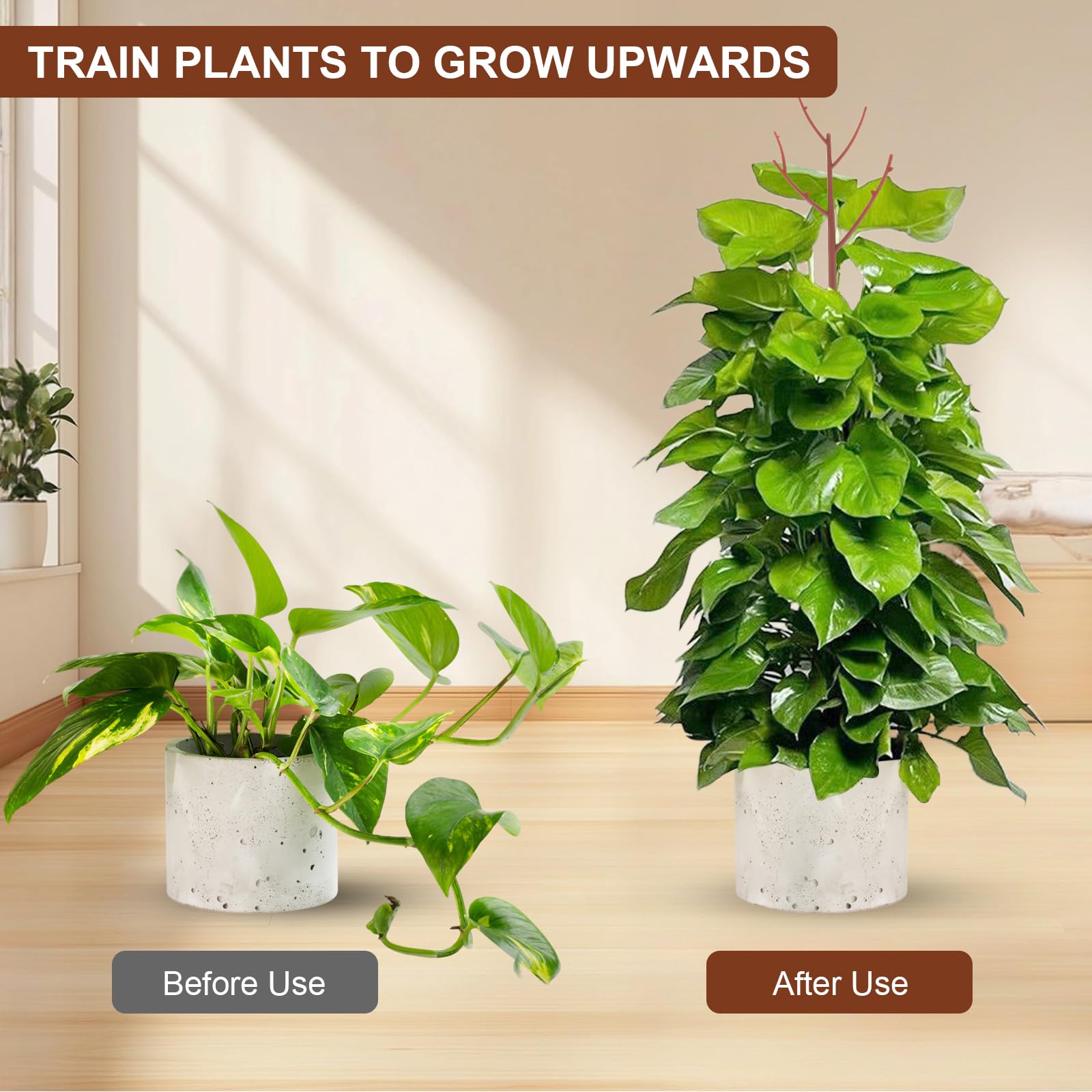 Stackable design of PERSZEN plant support in use with indoor plants