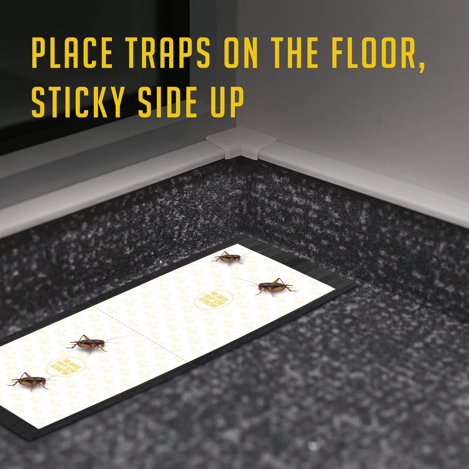 Stacked TRAP A PEST Extra Large Cricket Traps showing packaging details