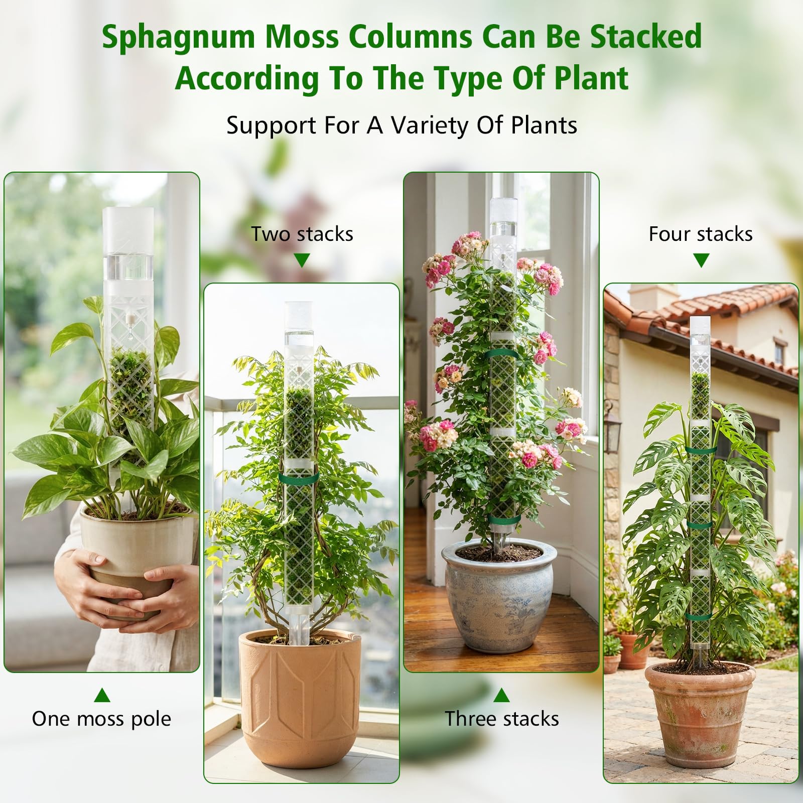 Stacked Zalovvi Moss Poles for climbing plants
