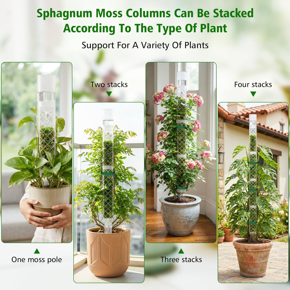 Stacked Zalovvi Moss Poles for climbing plants
