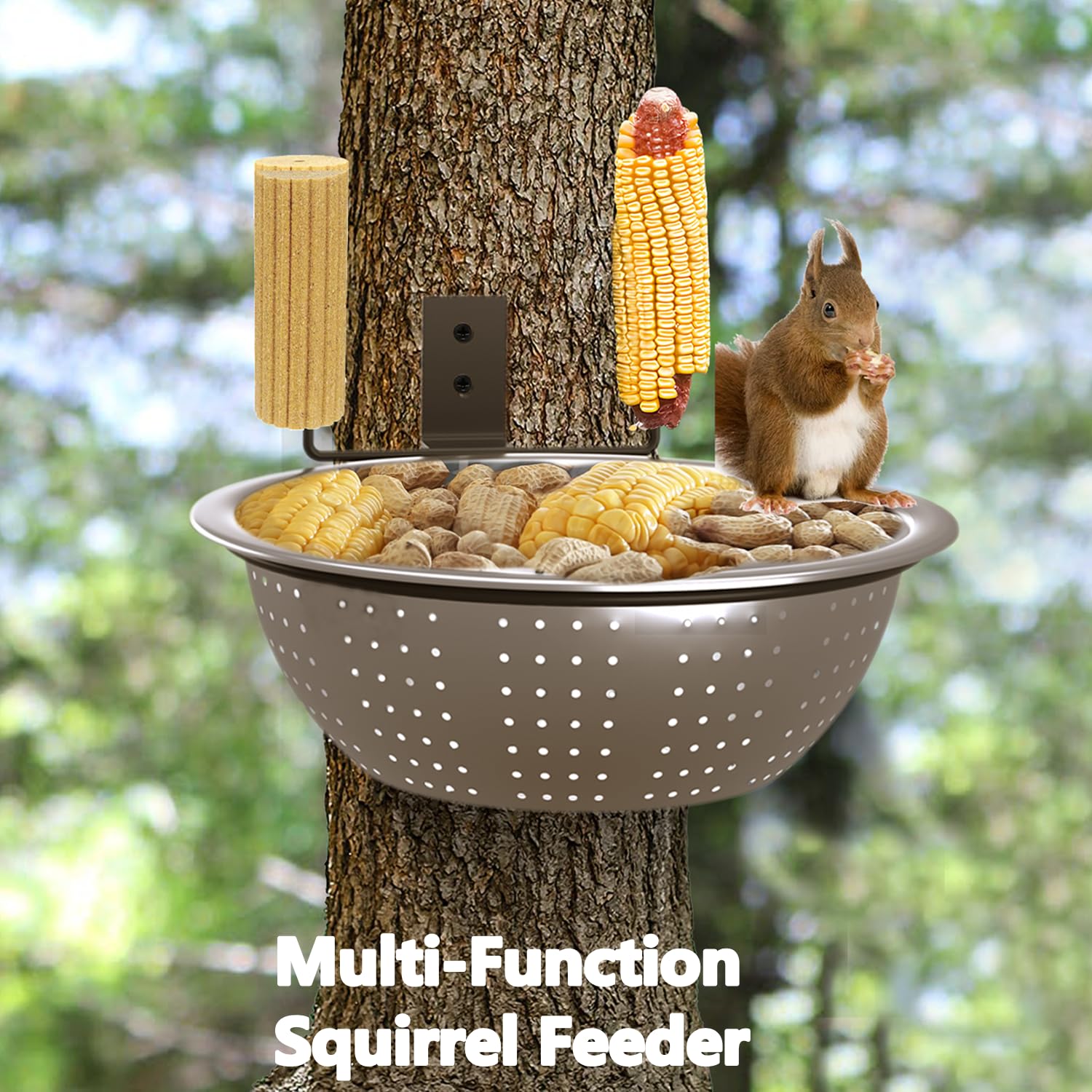 Stainless steel bowl of the squirrel feeder with food