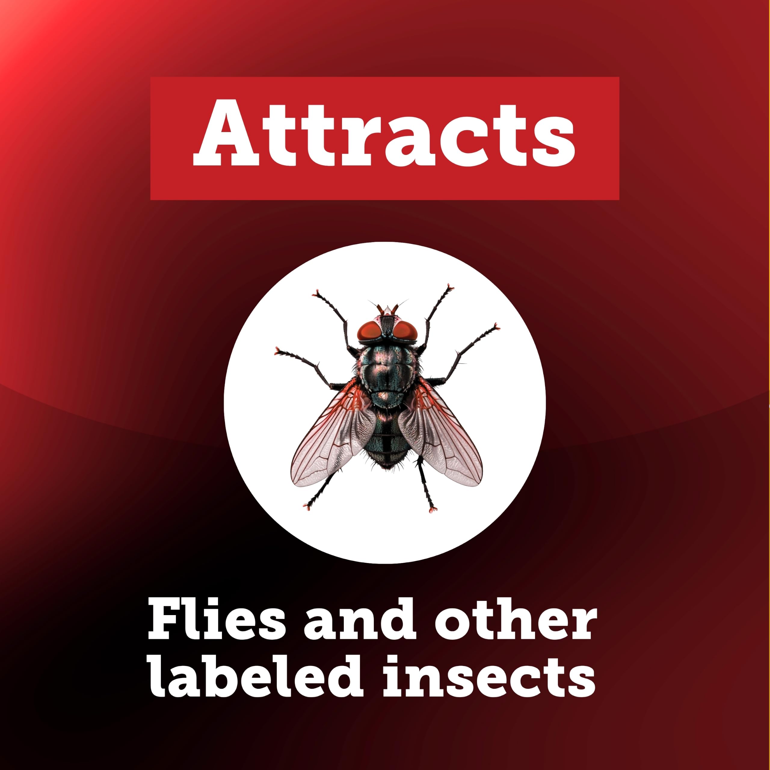 Starbar Fly Trap in outdoor setting with attractant refill