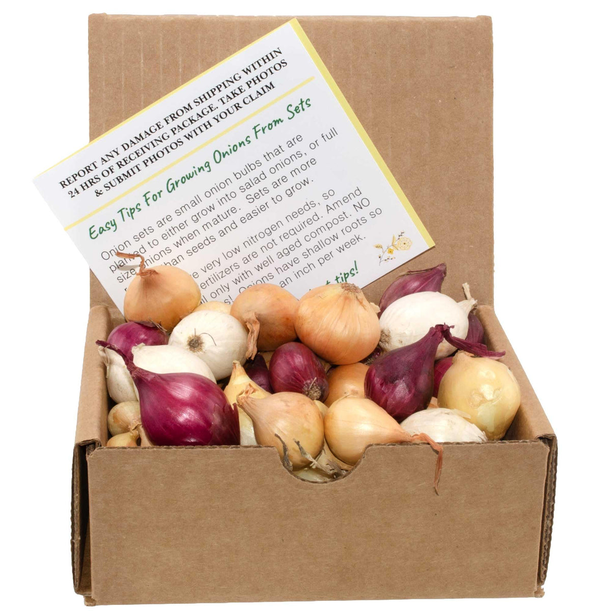 Stargazer Perennials Mixed Onion Assortment 8 oz front view