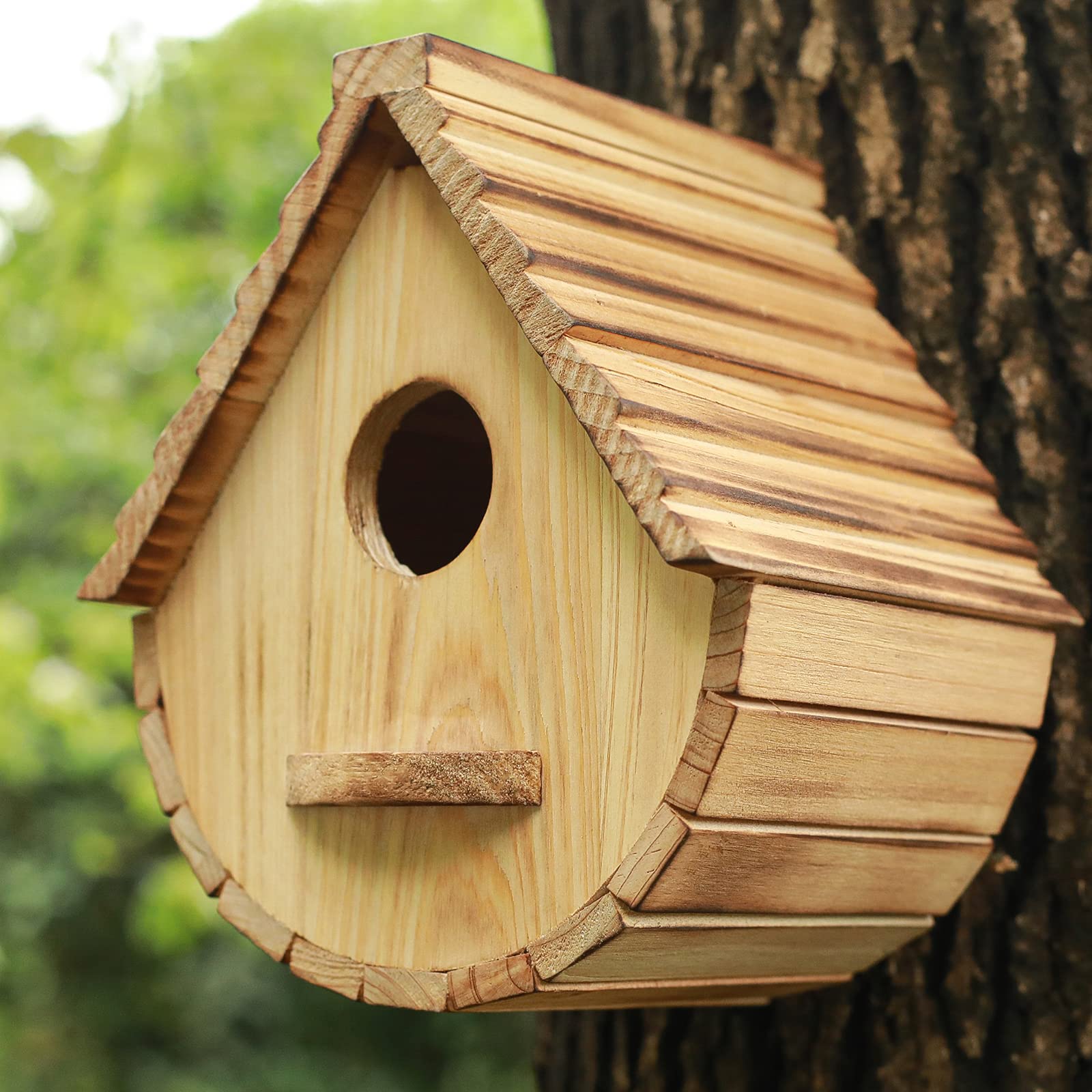 STARSWR birdhouse packaging displayed on a table