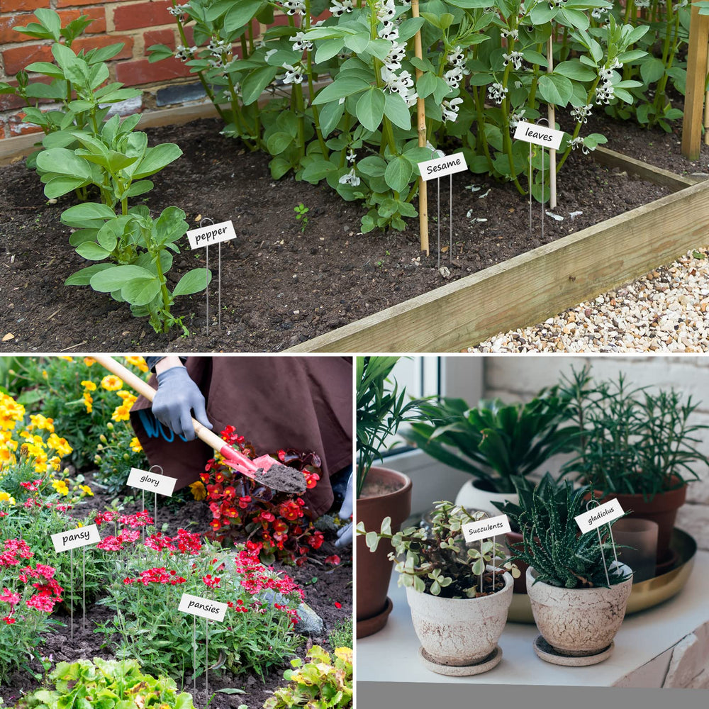 STARTOSTAR plant labels with example writing