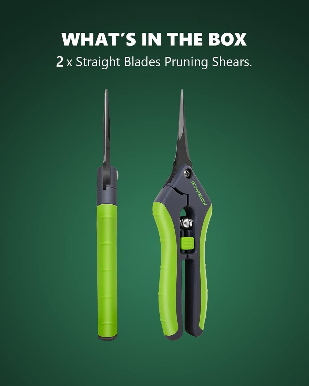 STAYGROW gardening scissors in use for trimming flowers
