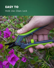 STAYGROW pruning shears displayed with a variety of plants
