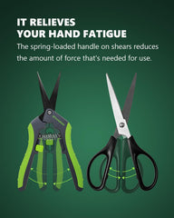 STAYGROW pruning shears showcasing stainless steel blades