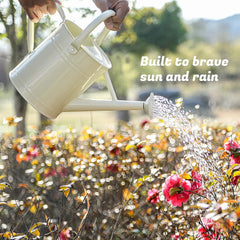 Stdemarzo watering can with removable spout and ergonomic handle