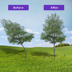 Steel stakes from FCENDS Tree Support Kit in green