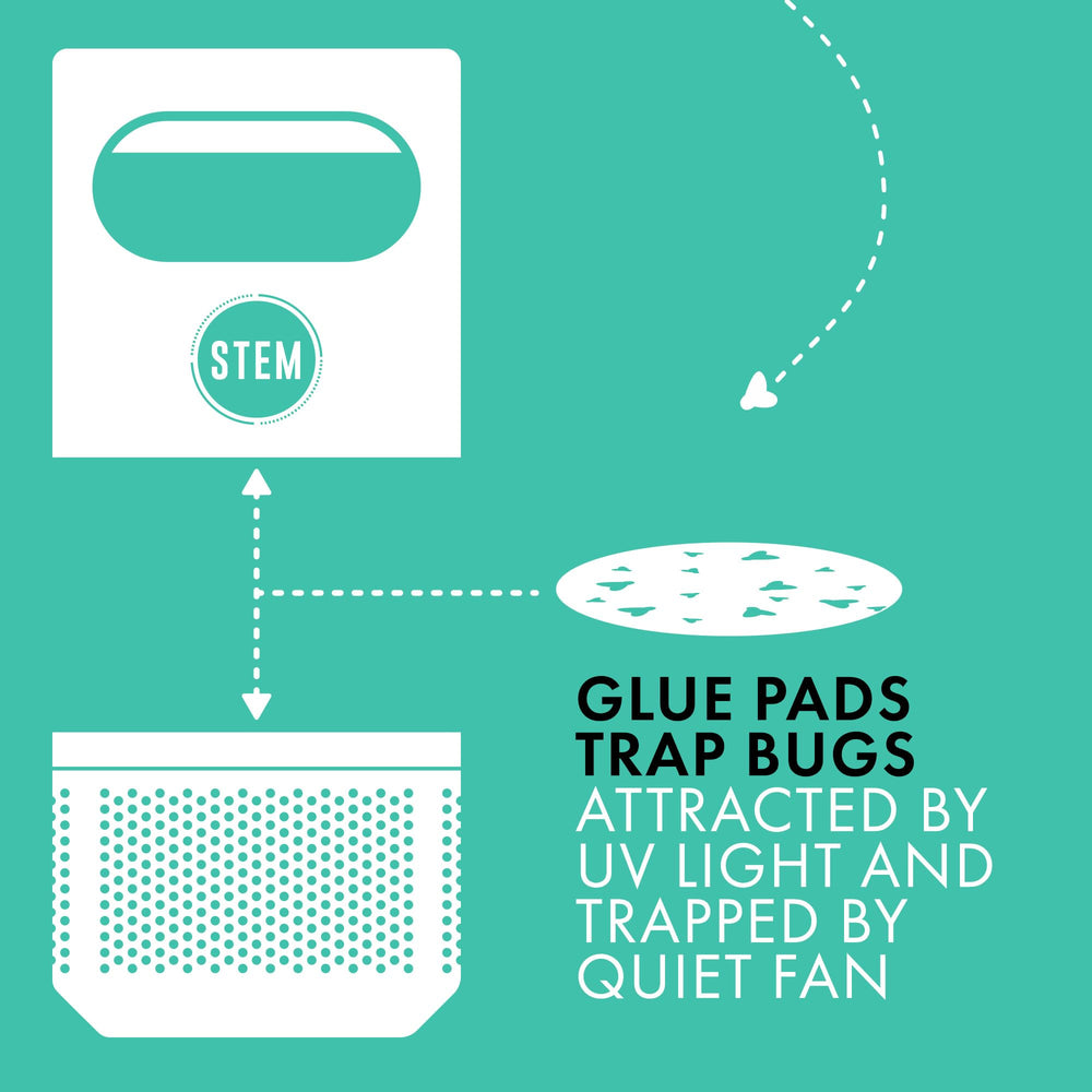 STEM Glue Trap Refill Pads showing the glue surface
