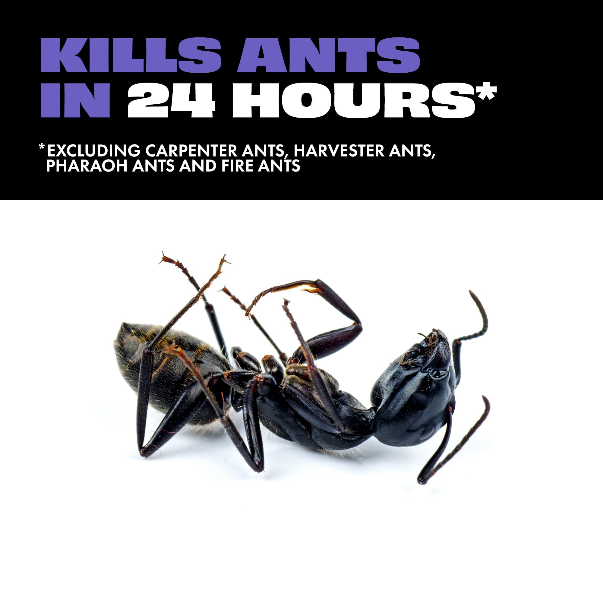 STEM Liquid Ant Bait station placed on kitchen counter