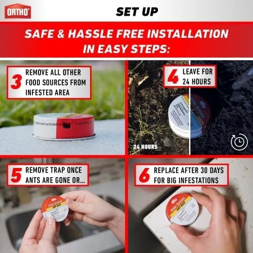 Step-by-step guide for setting up Ortho Ant Traps